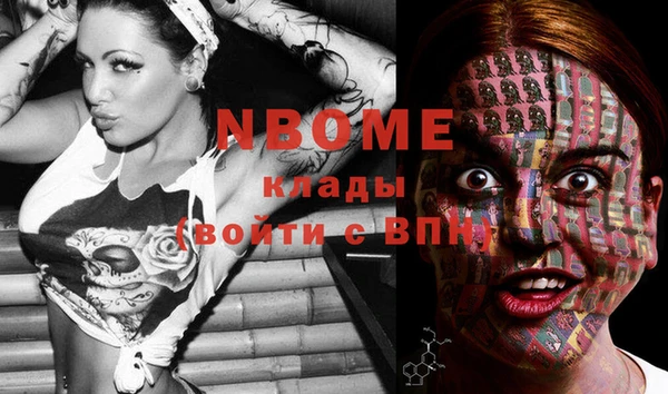 прущий лед Алзамай