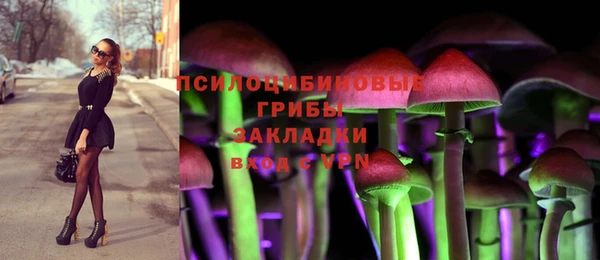 а пвп мука Алексеевка