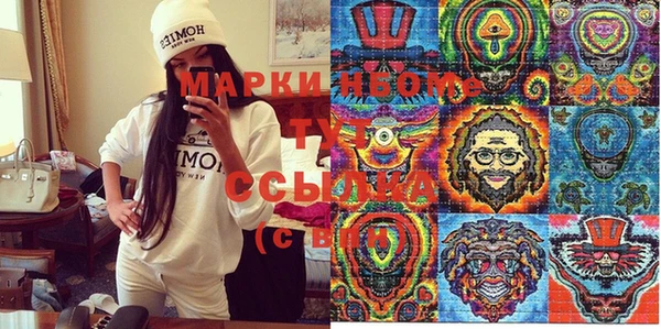 прущий лед Алзамай