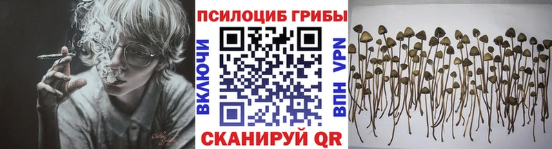 Псилоцибиновые грибы прущие грибы  Старый Оскол 