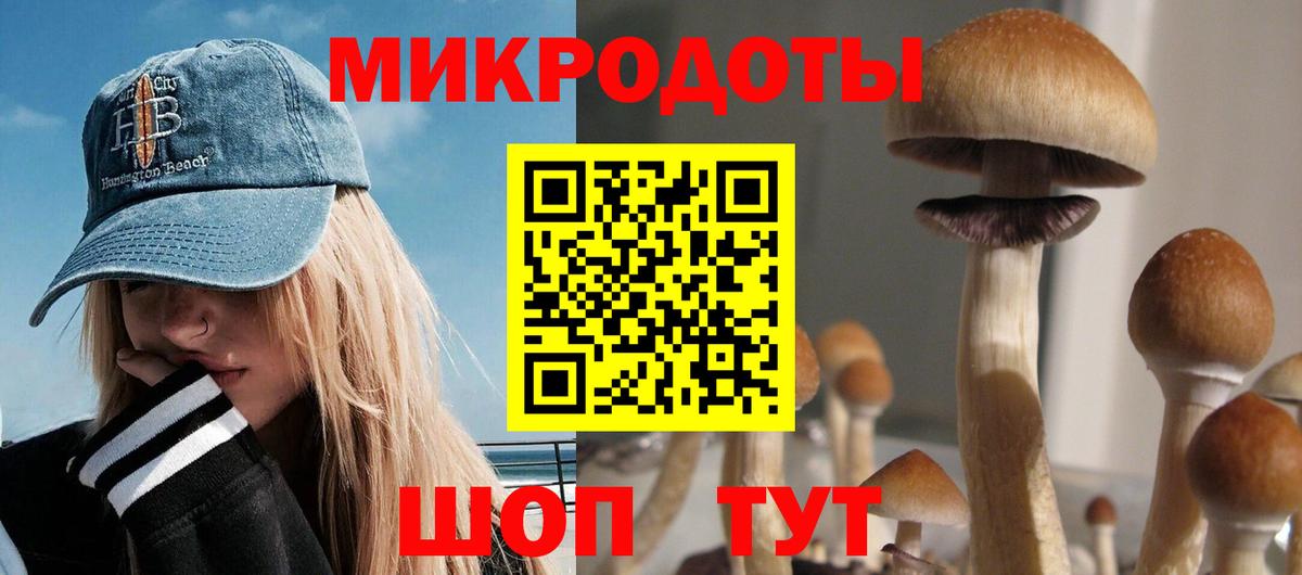 Старый Оскол  Псилоцибиновые грибы MAGIC MUSHROOMS  Вход с VPN 