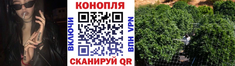 где купить наркотик  Старый Оскол  Каннабис White Widow 